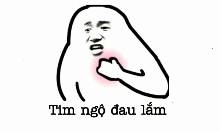 Avatar meme mèo bựa với biểu cảm hài hước khó đỡ