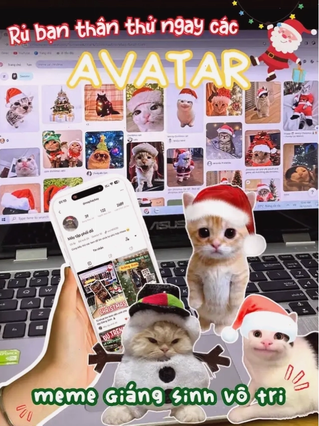 Avatar mèo meme Giáng Sinh vô tri dễ thương