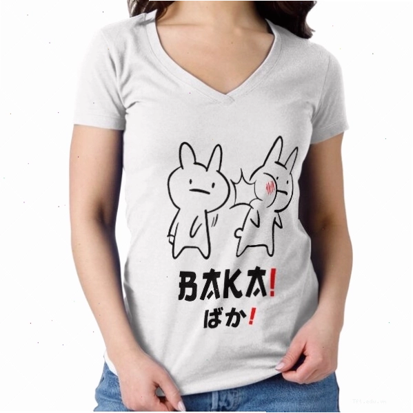 Baka Rabbit meme