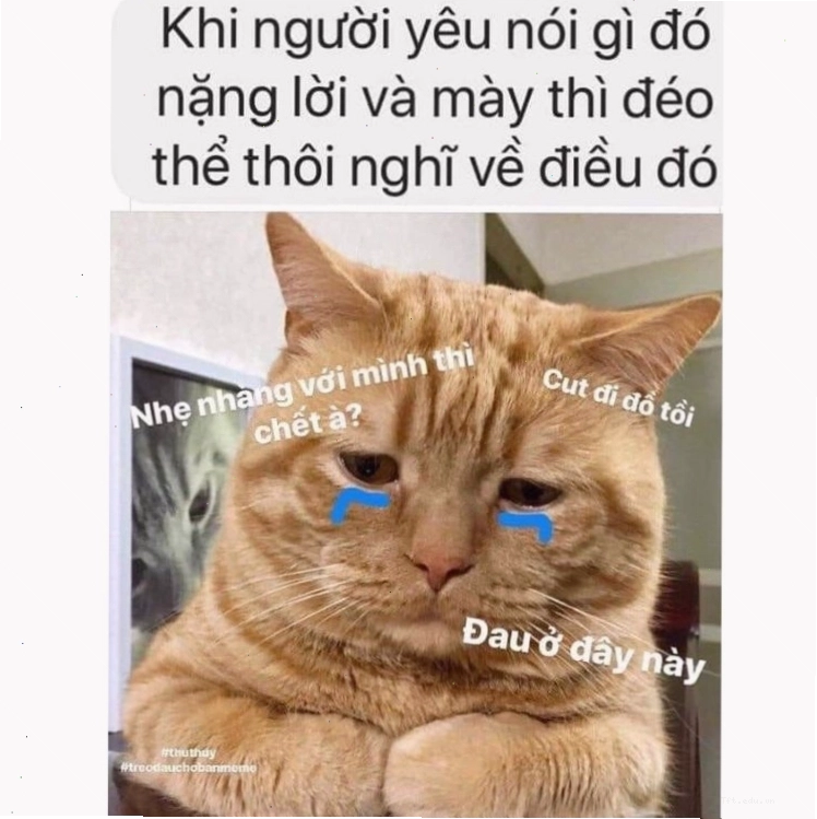 Biểu cảm buồn bã trong meme đau ở đây này