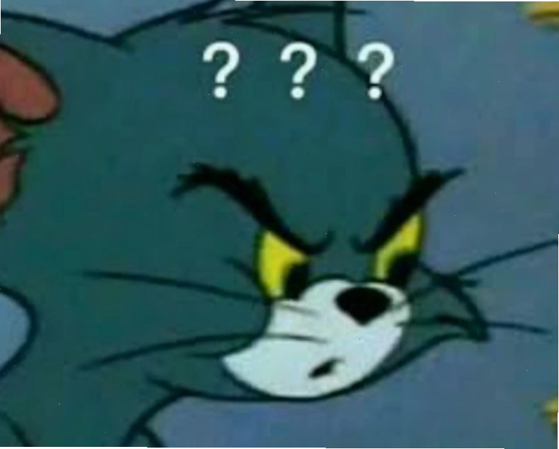 Biểu cảm ngạc nhiên của meme hỏi chấm mèo