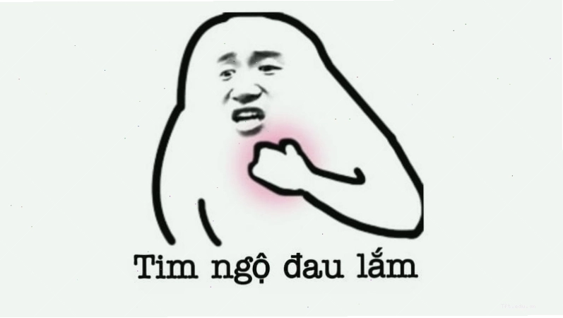 Bộ sưu tập ảnh meme hài hước và giải trí