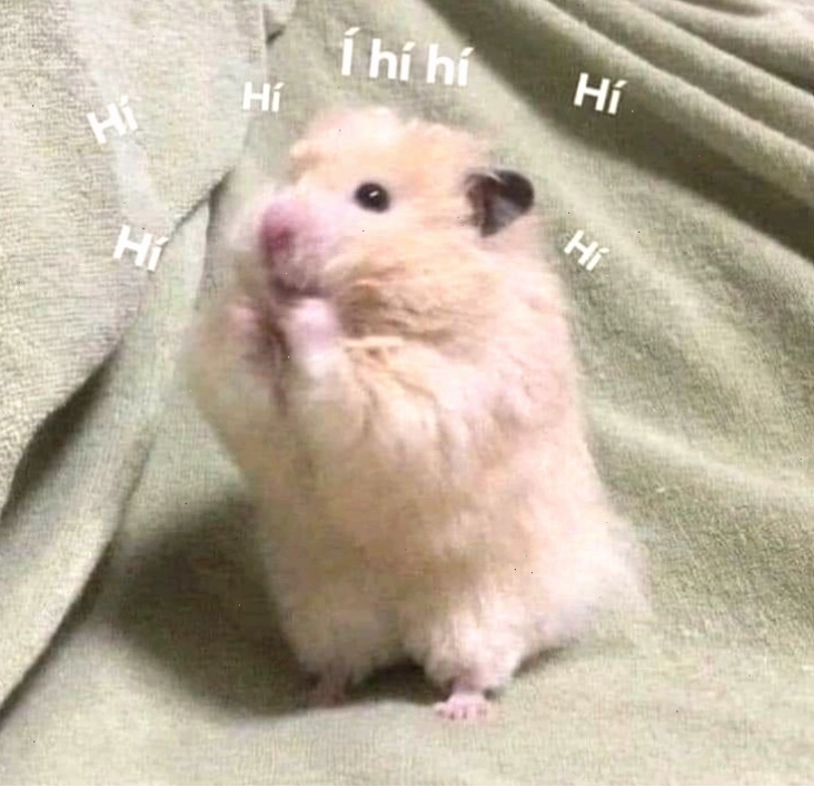 Bộ sưu tập Hamster meme hài hước và đáng yêu