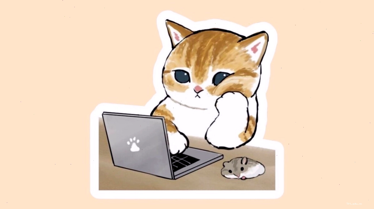 Chú mèo chibi đang nhìn chăm chú vào điều gì đó