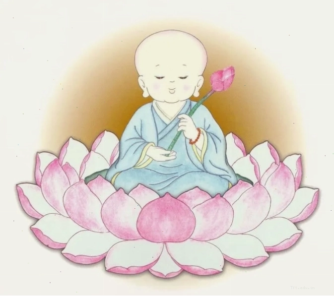 Chú tiểu ngồi thiền an lạc trong không gian tĩnh mịch