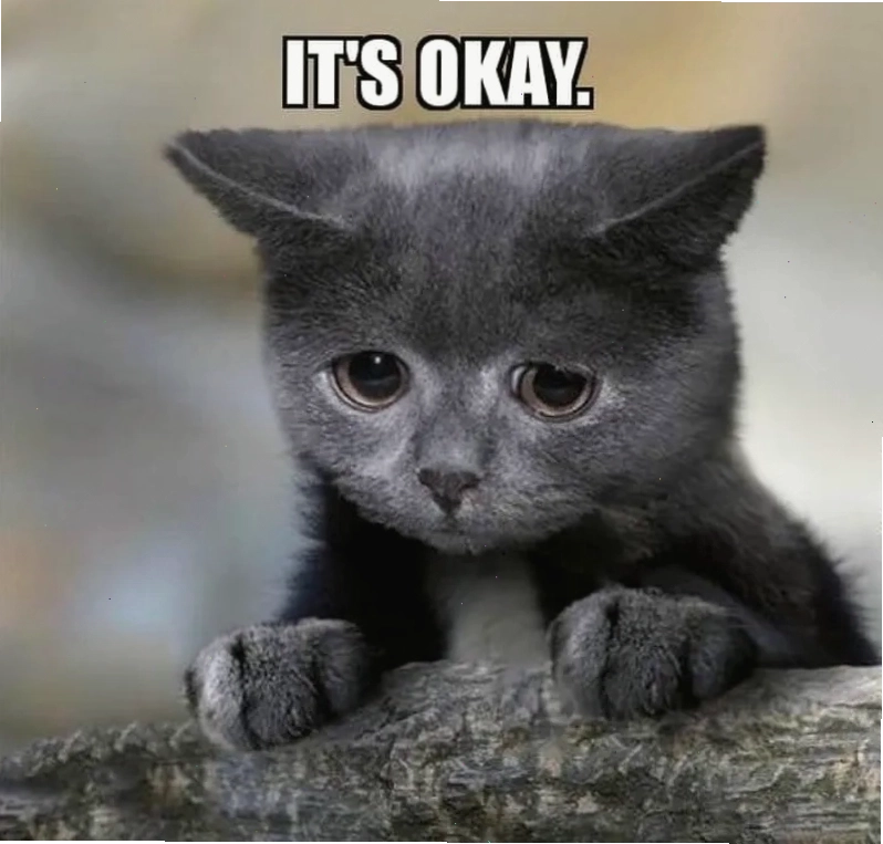 Đỉnh cao đáng yêu thuộc về ok meme mèo