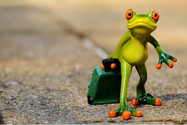 Hình ảnh chú ếch ngồi một mình, tượng trưng cho sự cô đơn sau chia tay