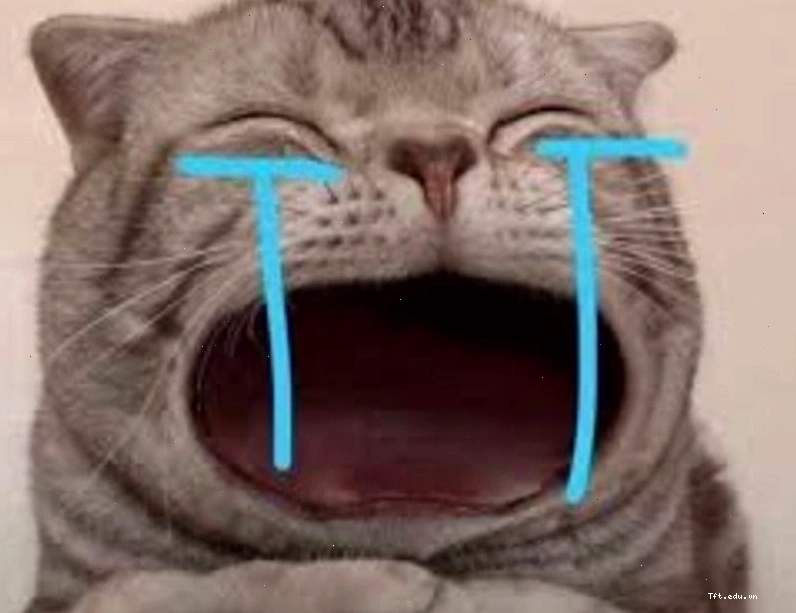 Hình ảnh động vật khóc meme thể hiện sự hài hước