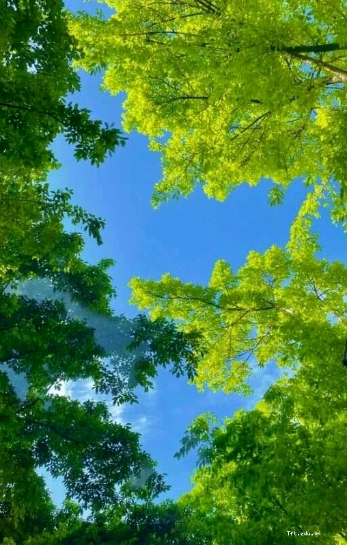 Hình nền điện thoại phong cách ngầu cho người tuổi Sửu