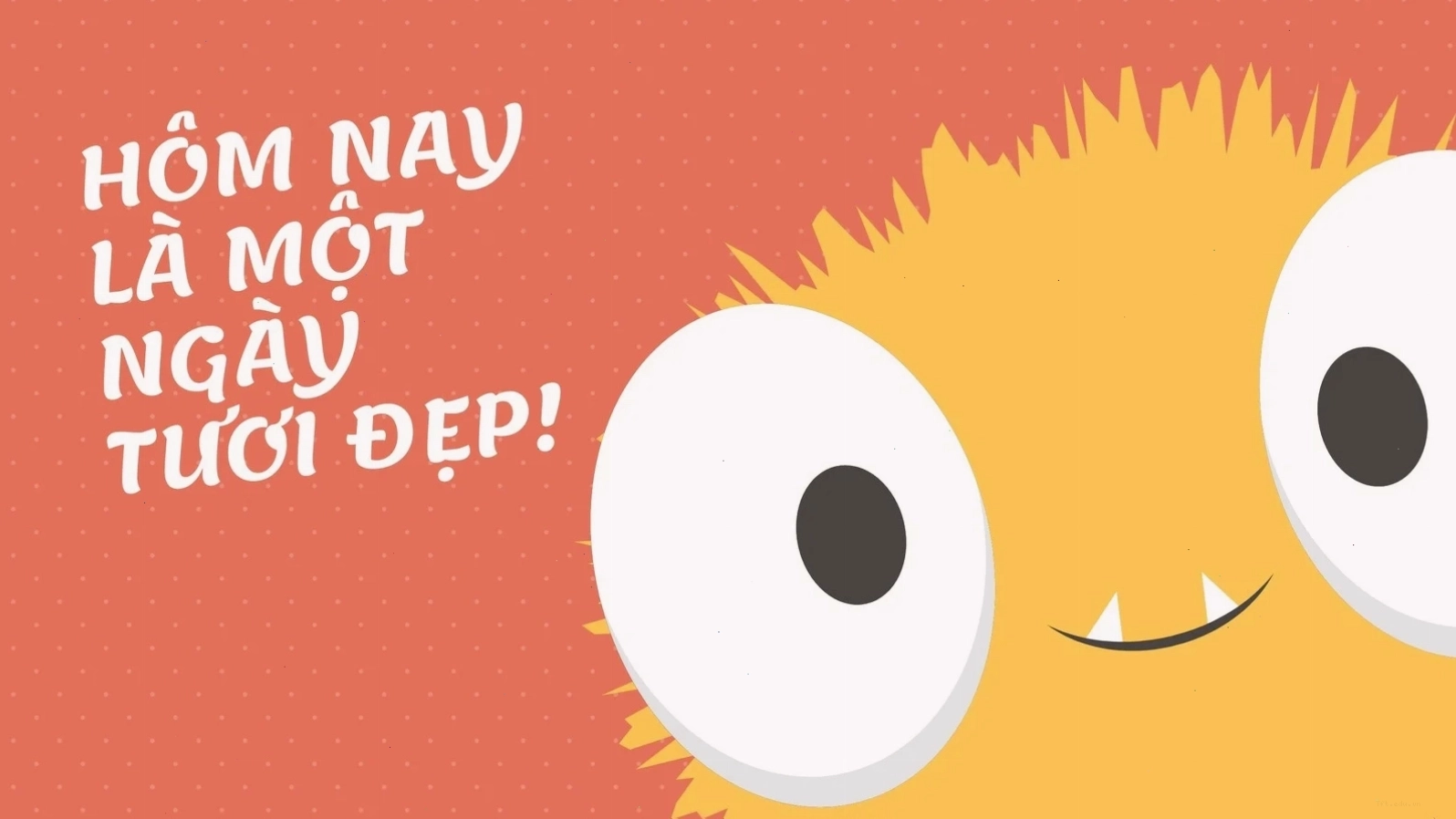 Hình nền máy tính họa tiết dễ thương màu san hô và cam