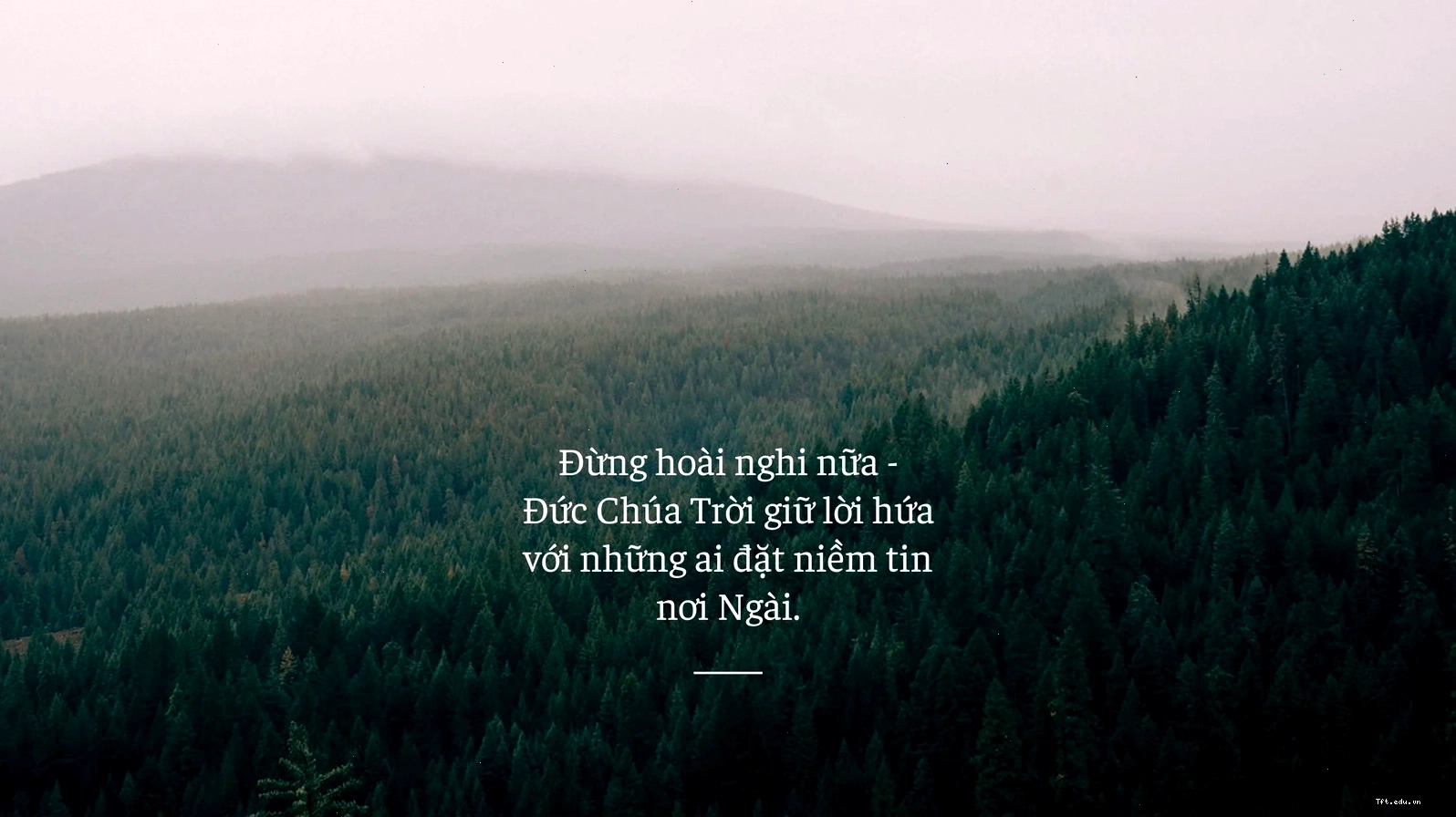 Hình nền máy tính Thiên Chúa giáo thanh lịch với trích dẫn màu xanh lá và đen