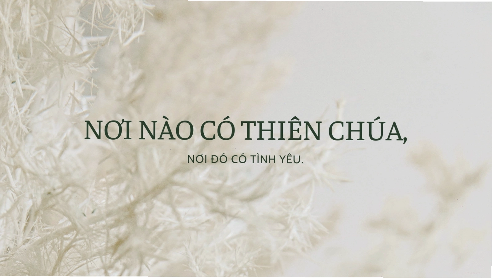 Hình nền máy tính Thiên Chúa giáo thanh lịch với trích dẫn màu kem và xanh lá