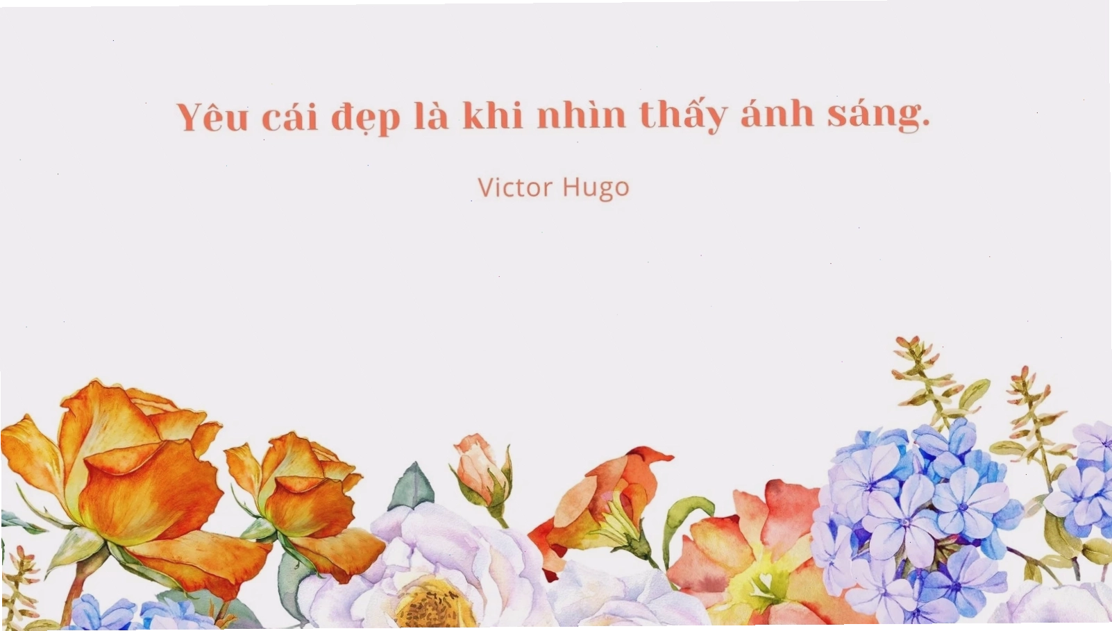 Hình nền máy tính trích dẫn hoa màu cam