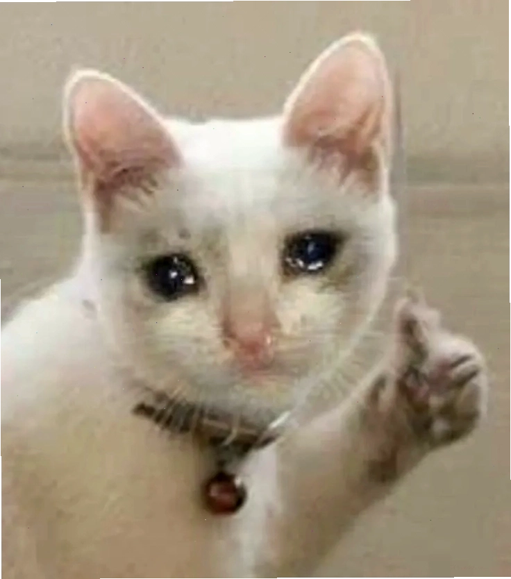 Không thể kiềm chế nước mắt như cry cat meme khi xem phim buồn