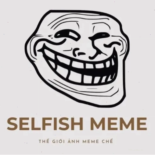Logo The Selfish Meme