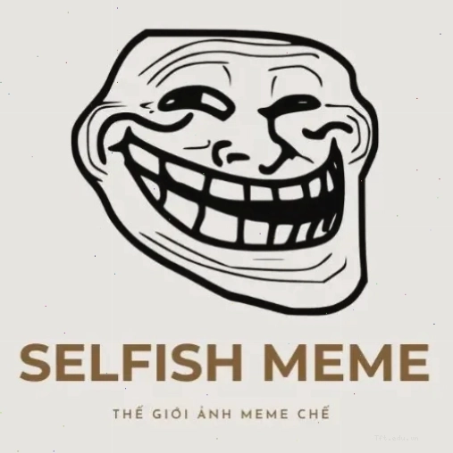 Logo The Selfish Meme