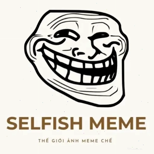Logo The Selfish Meme