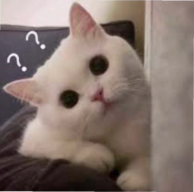 Mặt hỏi chấm meme độc đáo