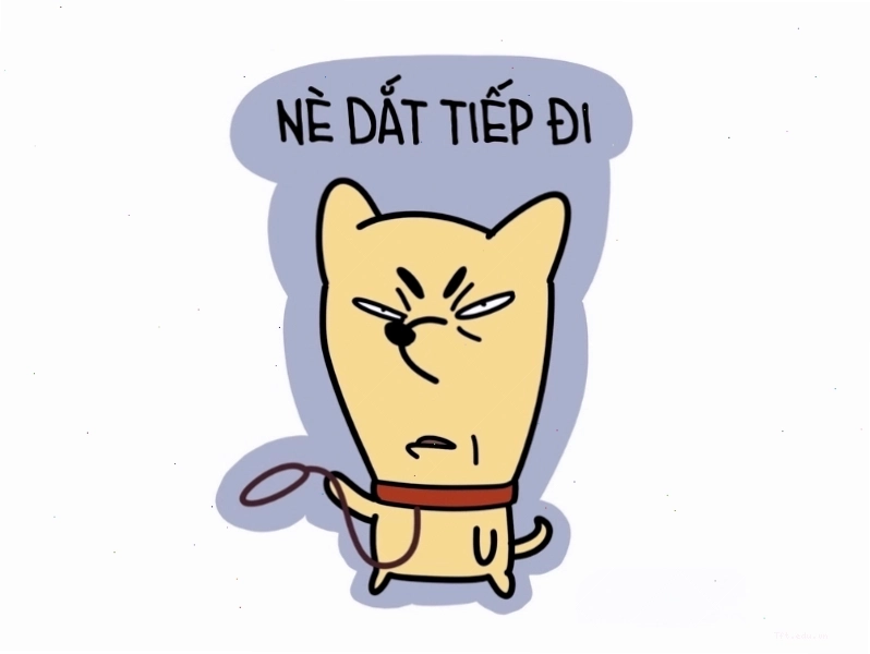 Meme avatar vô tri hài hước với câu nói dí dỏm
