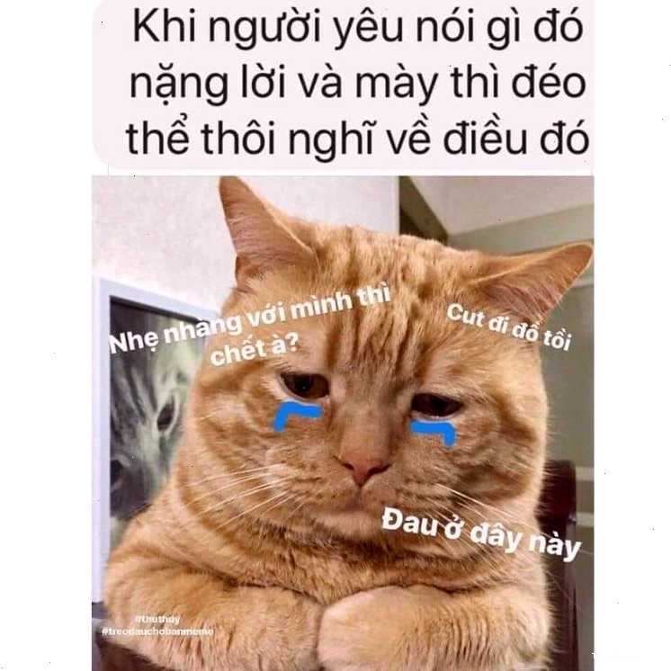 Meme chế người que với biểu cảm không thể tin nổi