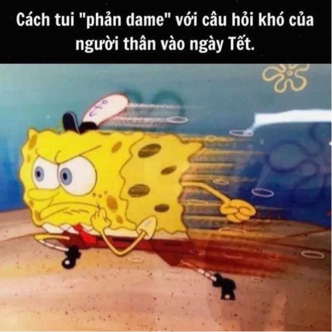 Meme chúc mừng năm mới về chủ đề "Tết này vẫn ế"