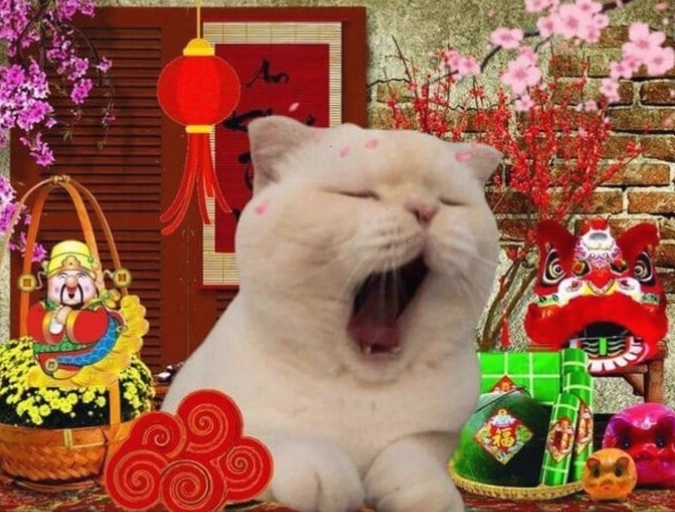 Meme chúc mừng năm mới với hình ảnh vui nhộn và lời chúc dí dỏm