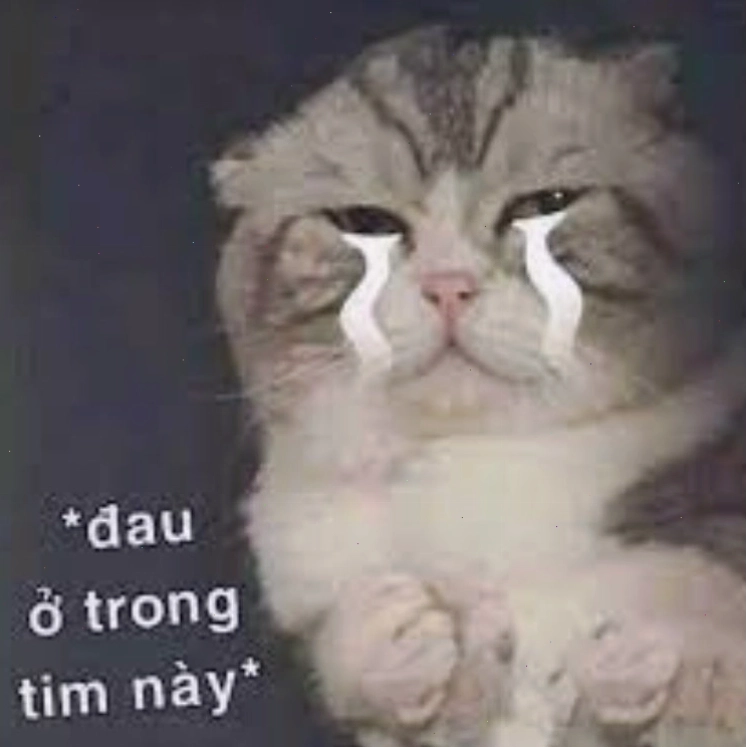 Meme đau ở đây này phiên bản chó