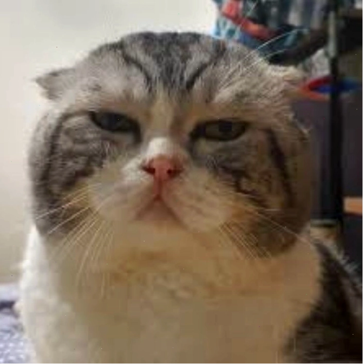 Meme đau ở đây này phiên bản đơn giản