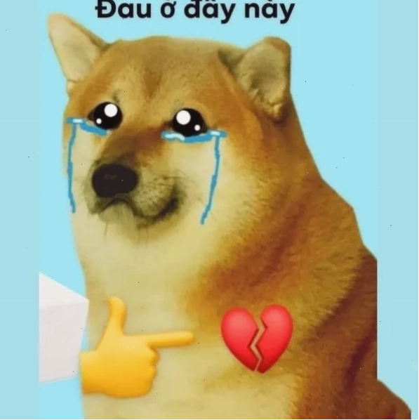 Meme đau tim với hình ảnh chú chó Shiba biểu cảm đáng yêu