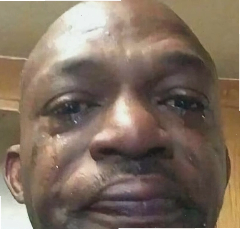 Meme động vật khóc thể hiện sự 'tuyệt vọng' hài hước