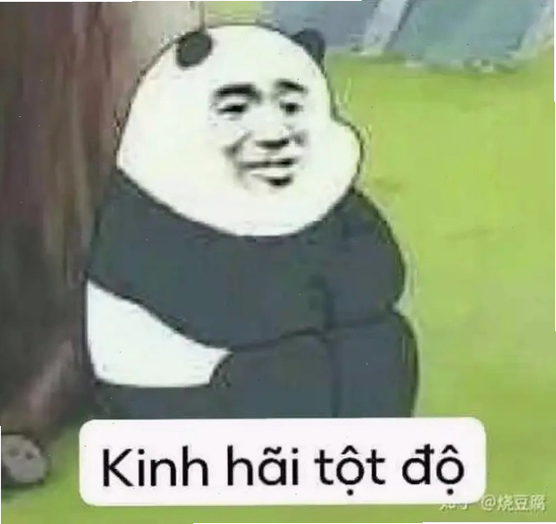 Meme gấu trúc mặt người với chú thích "Kinh hãi tột độ"