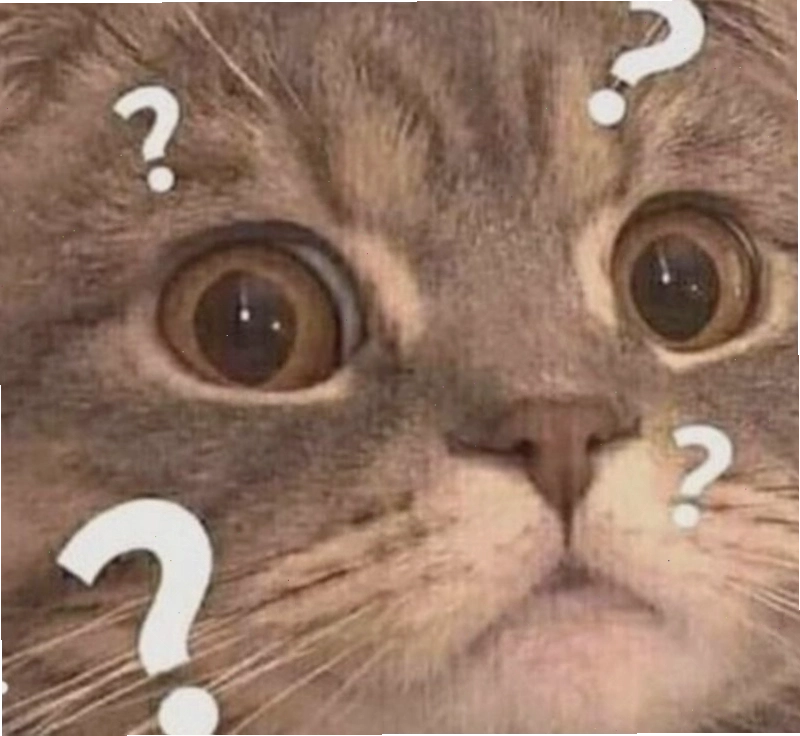 Meme hỏi chấm hình mèo dễ thương