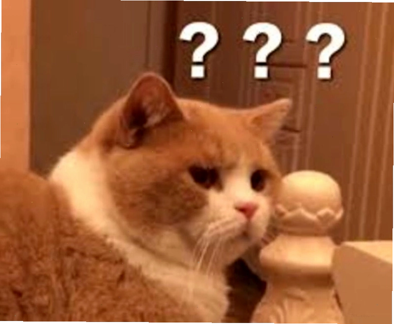 Meme hỏi chấm vui nhộn