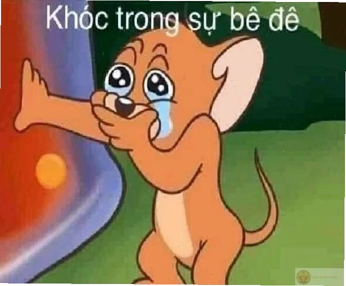 Meme Jerry và Tom.