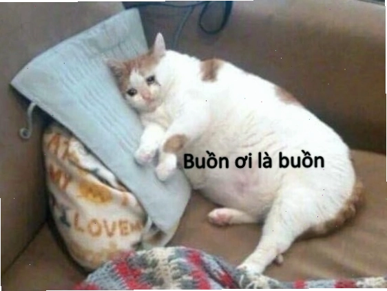 Meme mặt buồn cười với biểu cảm dí dỏm