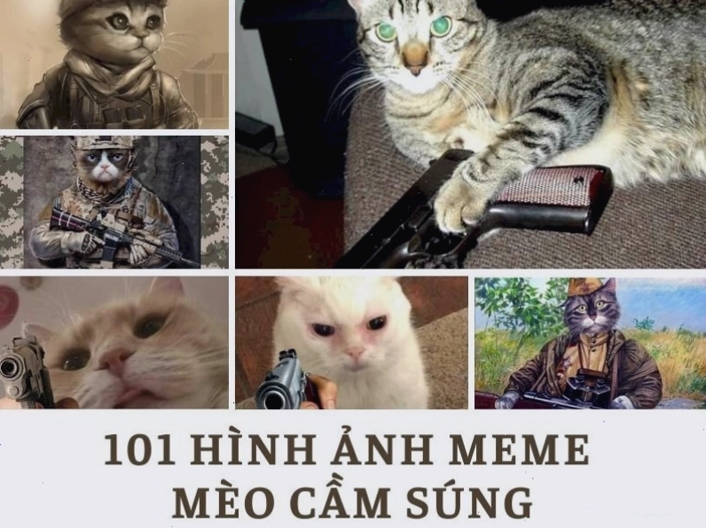 Meme mèo cầm súng trường với biểu cảm ngầu lòi