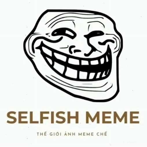 Meme mèo cầm súng với khẩu súng lục trên tay