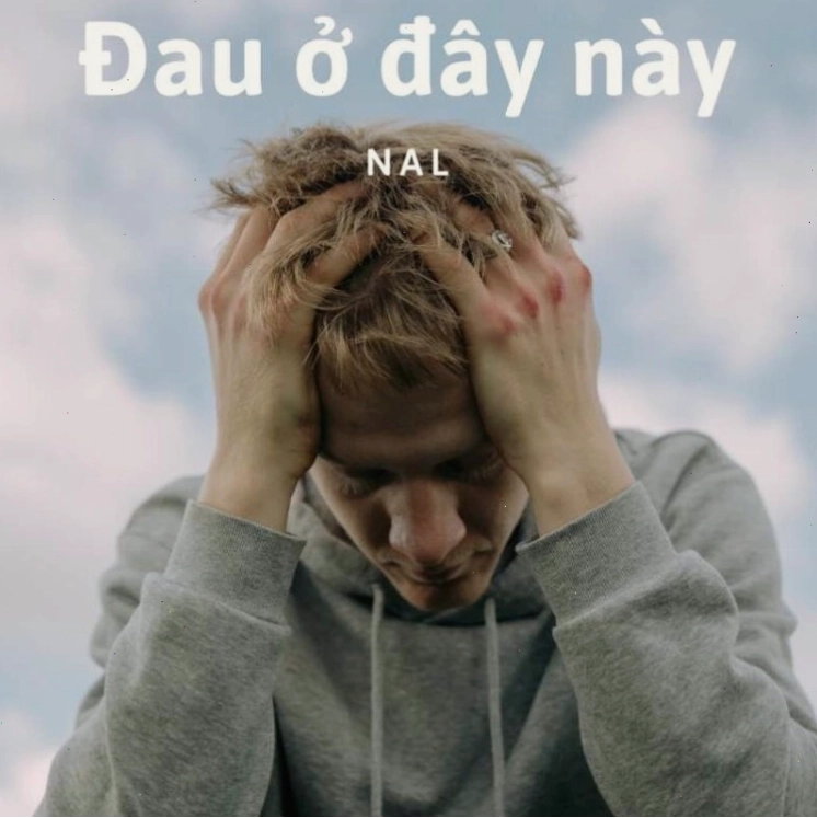 Meme mèo đau ở đây này thể hiện sự buồn bã