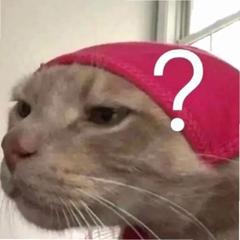 Meme mèo hỏi chấm vui nhộn
