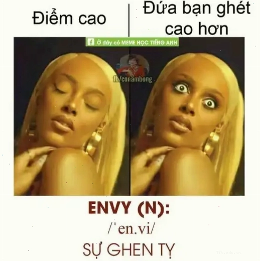 Meme minh họa sự ghen tỵ (ENVY)