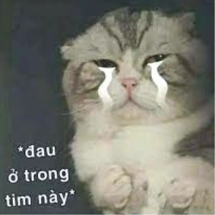 Meme người với biểu cảm châm biếm
