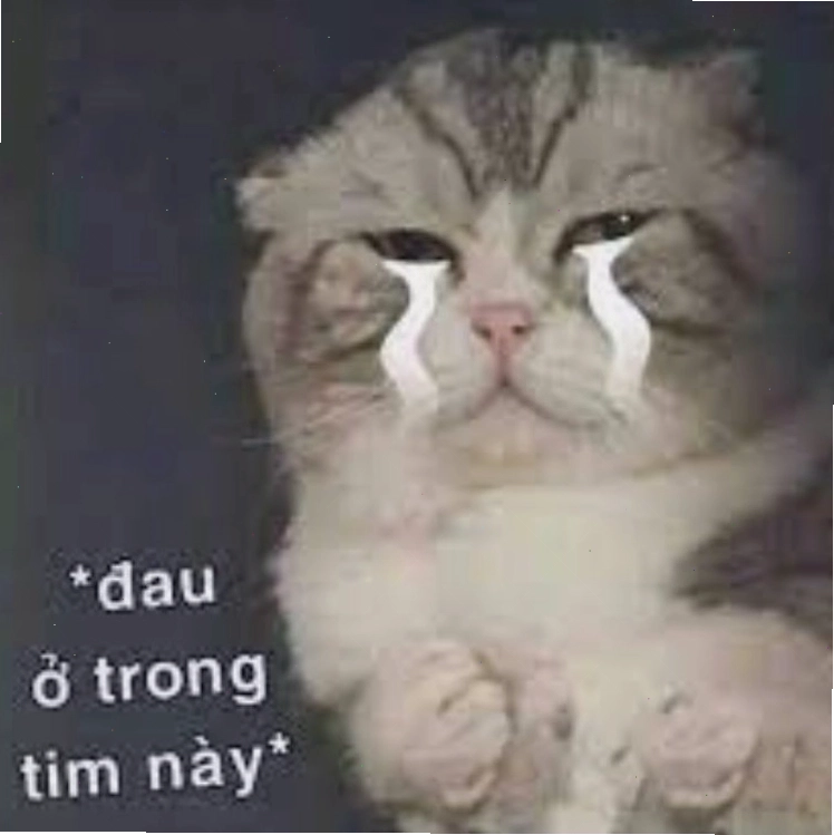 Meme người với biểu cảm khó đỡ