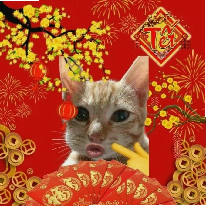 Meme Tết hài hước về những tình huống thường gặp trong ngày Tết