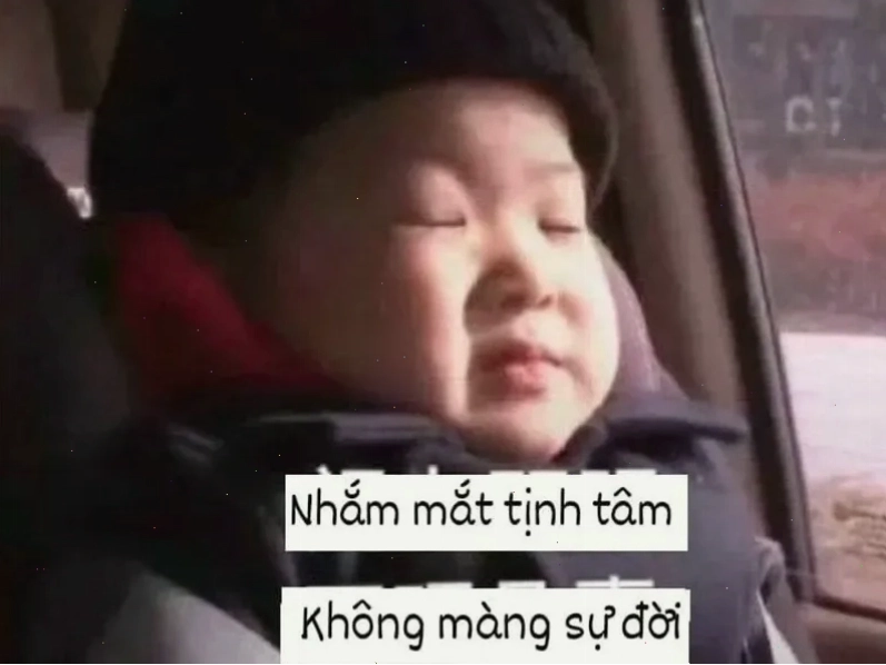 Meme tịnh tâm thể hiện sự an nhiên tự tại