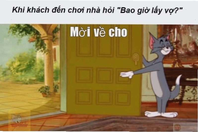 Meme Tom đang nhìn thứ gì đó.