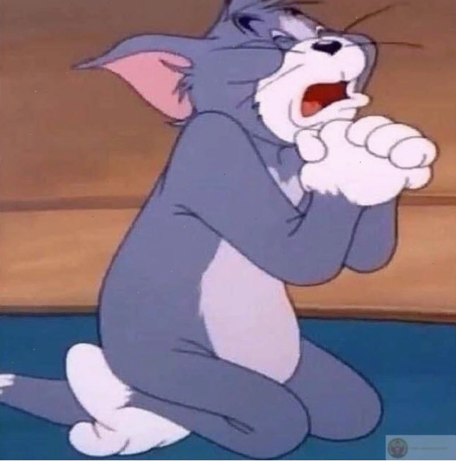 Meme Tom đang quỳ.