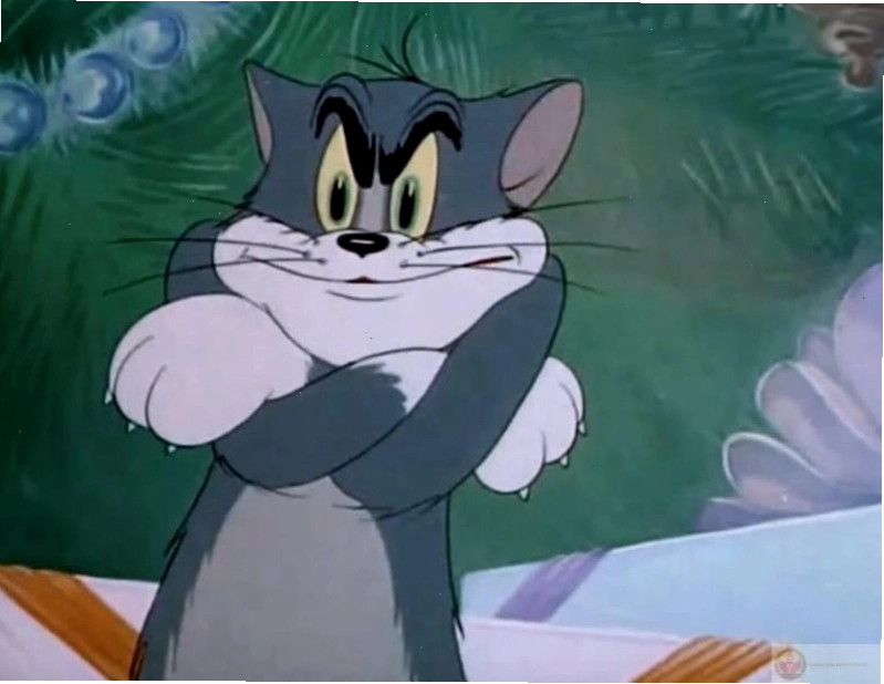 Meme Tom nhìn Jerry ăn.