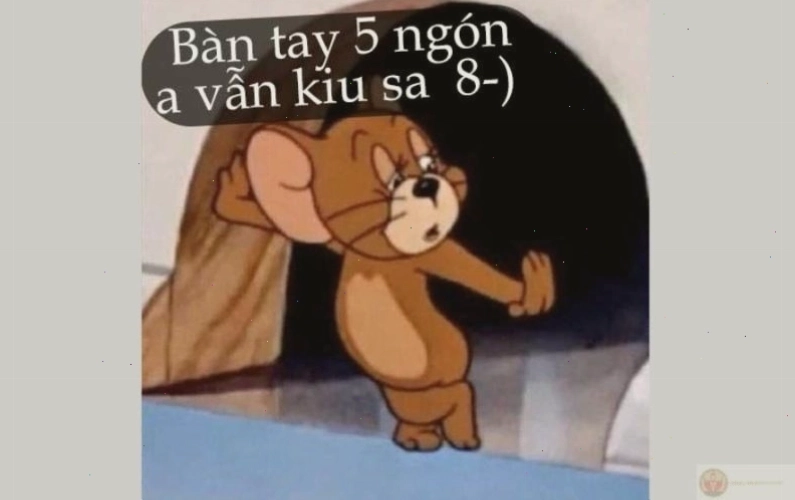 Meme Tom và Jerry.