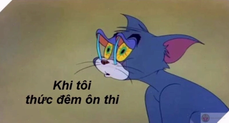 Meme Tom và Jerry - Cảm giác quen thuộc.