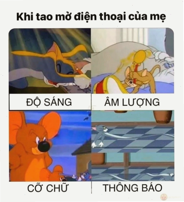 Meme Tom và Jerry với Jerry thắng cuộc.